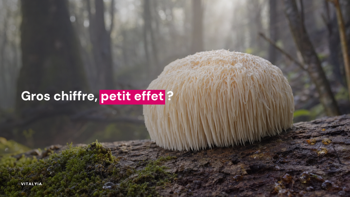 Un champignon hérisson blanc sur un tronc d'arbre dans une forêt