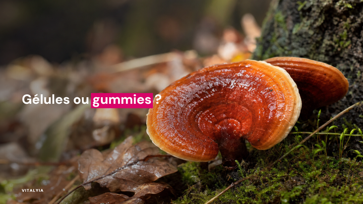 Gros plan sur des champignons rouges poussant sur un tronc d'arbre couvert de mousse