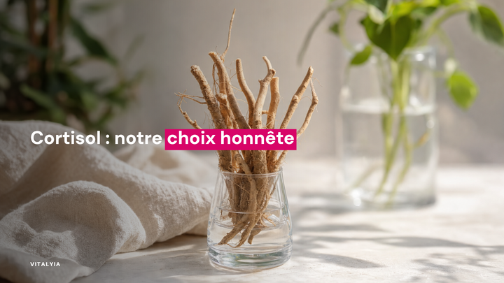 Racines d'ashwagandha dans un verre sur une table ensoleillée avec des plantes en arrière-plan