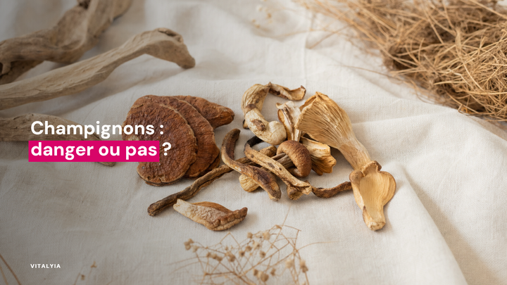 Un assortiment de champignons séchés sur un tissu clair avec des branches sèches autour