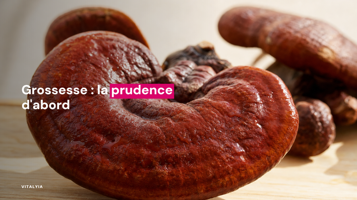 Gros plan sur des champignons reishi posés sur une surface en bois.