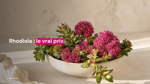 Un bol en céramique contenant des fleurs de rhodiola roses sur une surface claire.