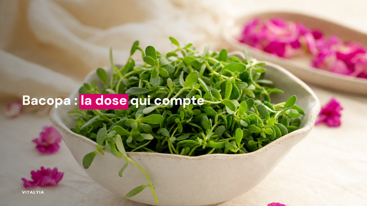 Bol en céramique rempli de Bacopa monnieri avec des pétales de fleurs roses autour.