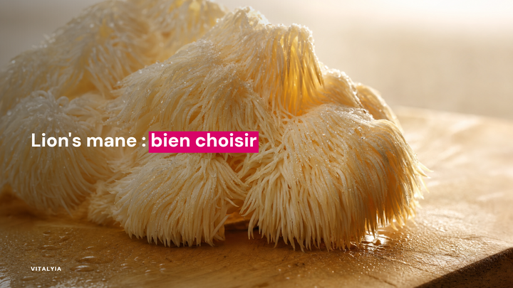 Gros plan d'un champignon hérisson sur une surface en bois.