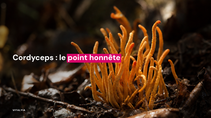Gros plan sur des champignons cordyceps orange poussant sur le sol forestier