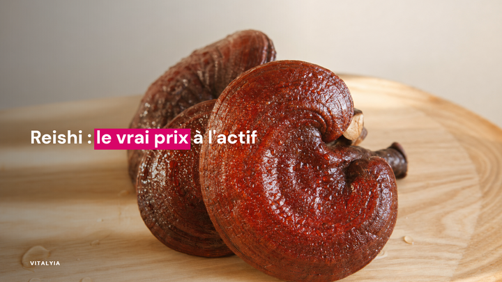 Gros plan sur des champignons reishi vernissés posés sur une surface en bois.