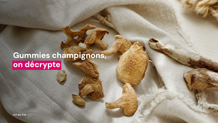 Champignons séchés posés sur un tissu beige