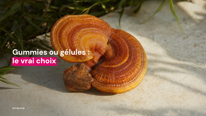 Gros plan d'un champignon médicinal sur une surface claire avec des feuilles en arrière-plan