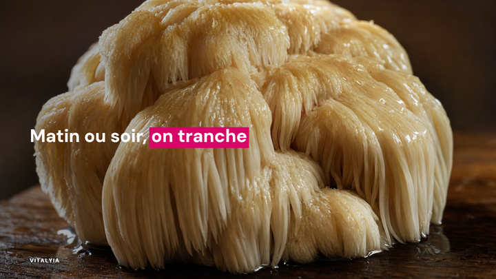 Gros plan d'un champignon hérisson sur une surface en bois.