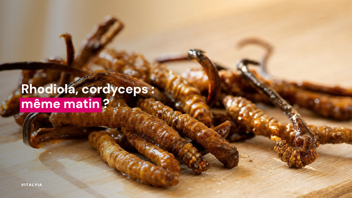 Gros plan de cordyceps séchés sur une planche en bois.