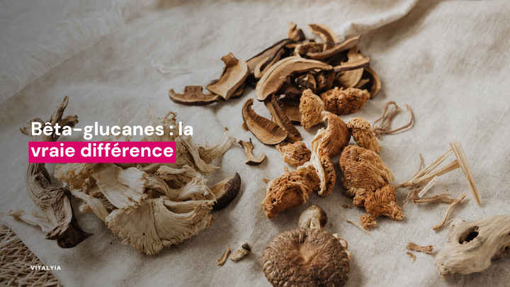 Différents types de champignons séchés disposés sur un tissu clair