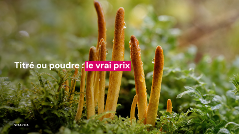Gros plan de champignons cordyceps poussant parmi des mousses vertes.