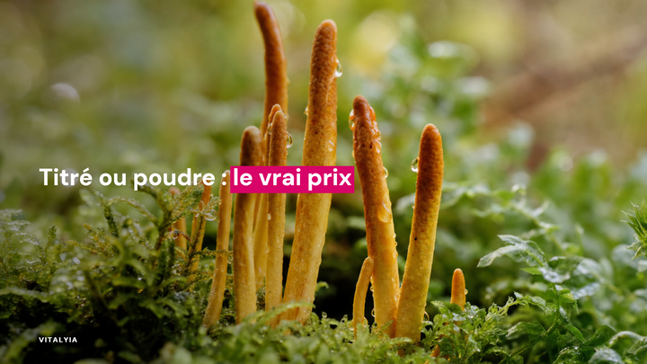 Gros plan de champignons cordyceps poussant parmi des mousses vertes.