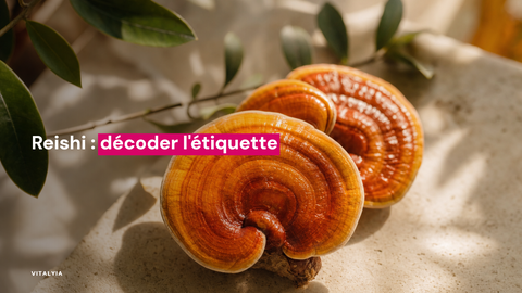 Deux champignons reishi vernissés posés sur une surface claire avec des feuilles en arrière-plan