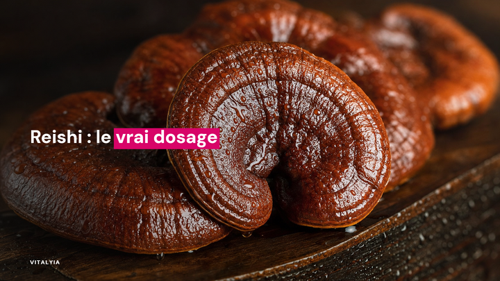 Champignons reishi brillants posés sur une planche de bois sombre