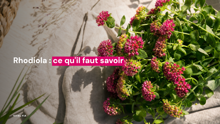Un bouquet de fleurs roses et vertes posé sur un tissu beige éclairé par la lumière du soleil