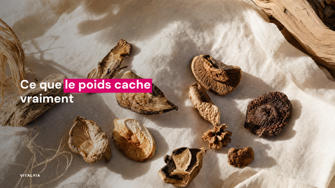 Gros plan de champignons séchés sur un tissu clair