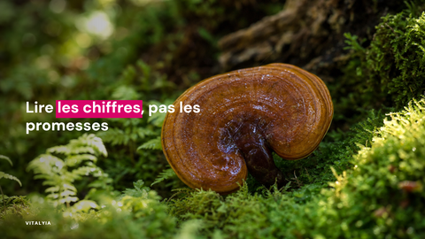 Gros plan d'un champignon brun sur un lit de mousse verte en forêt.