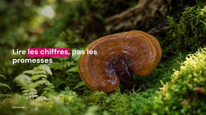 Gros plan d'un champignon brun sur un lit de mousse verte en forêt.