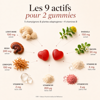 Dosages pour 2 gummies : Lion's Mane 100 mg, Reishi 200 mg, Cordyceps 100 mg, Rhodiola 150 mg, Bacopa 20 mg, vitamines B5, B6, B9 et B12